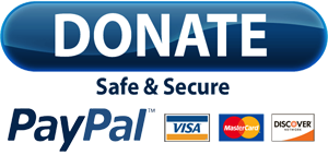 Paypal donate now button